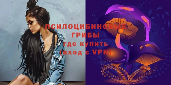 СК Абдулино