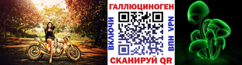 Псилоцибиновые грибы MAGIC MUSHROOMS  закладки  Галич 
